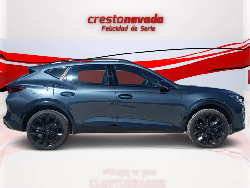 Imagen de cupra Formentor