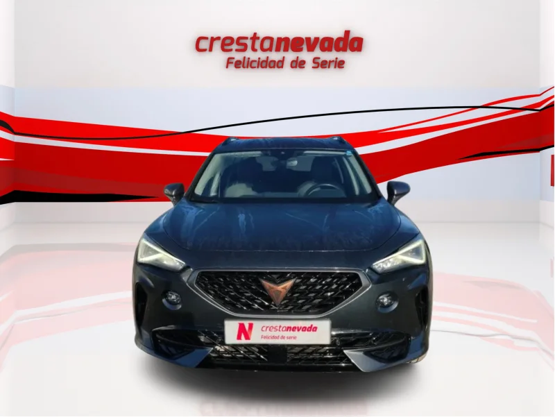 Imagen de cupra Formentor