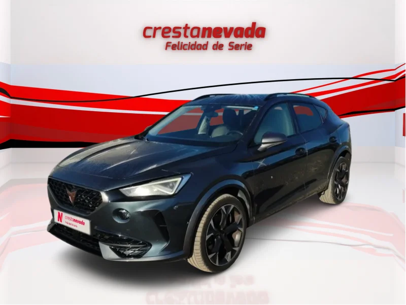 Imagen de cupra Formentor