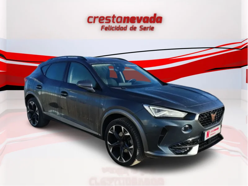 Imagen de cupra Formentor