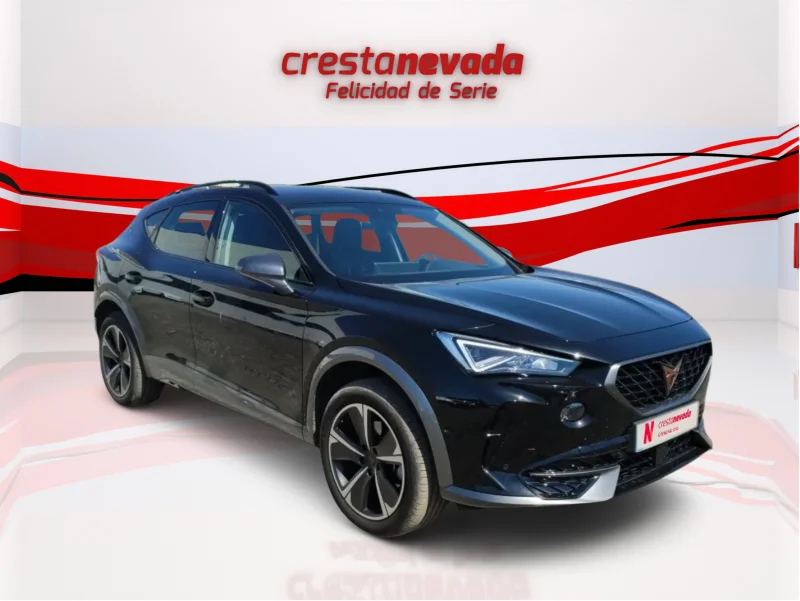 Imagen de cupra Formentor