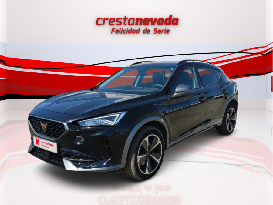 Imagen 1 de cupra Formentor Gasolina 150 CV