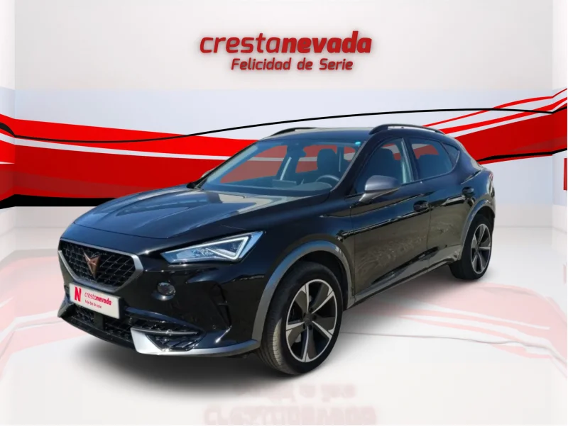Imagen de cupra Formentor