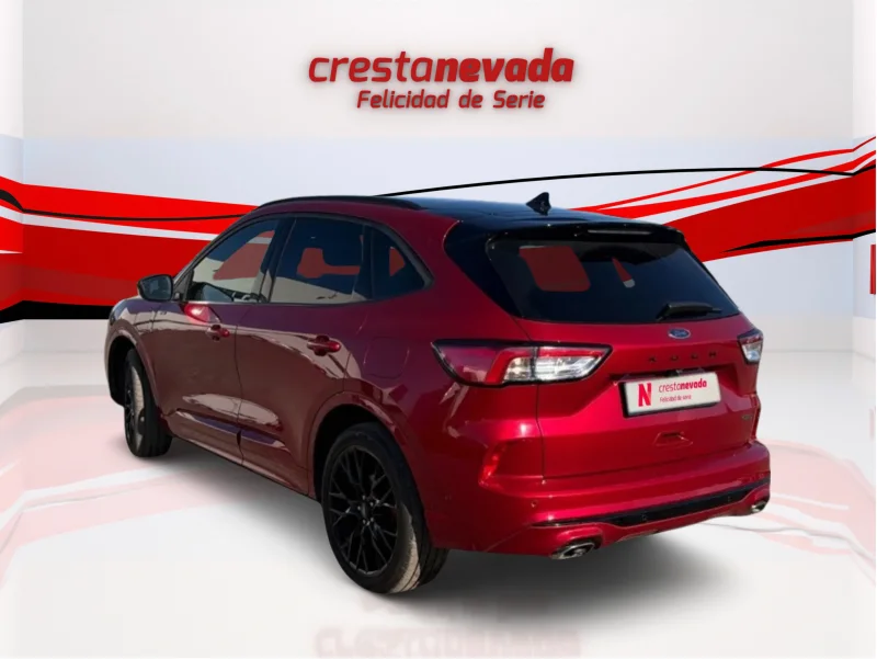 Imagen de Ford Kuga