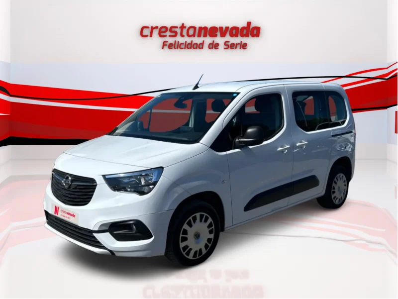 Imagen de NISSAN QASHQAI