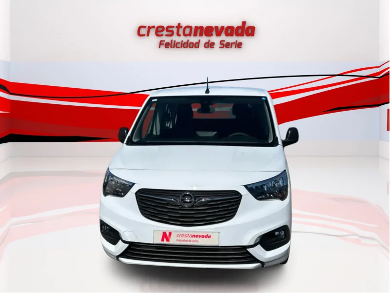 Imagen de NISSAN QASHQAI