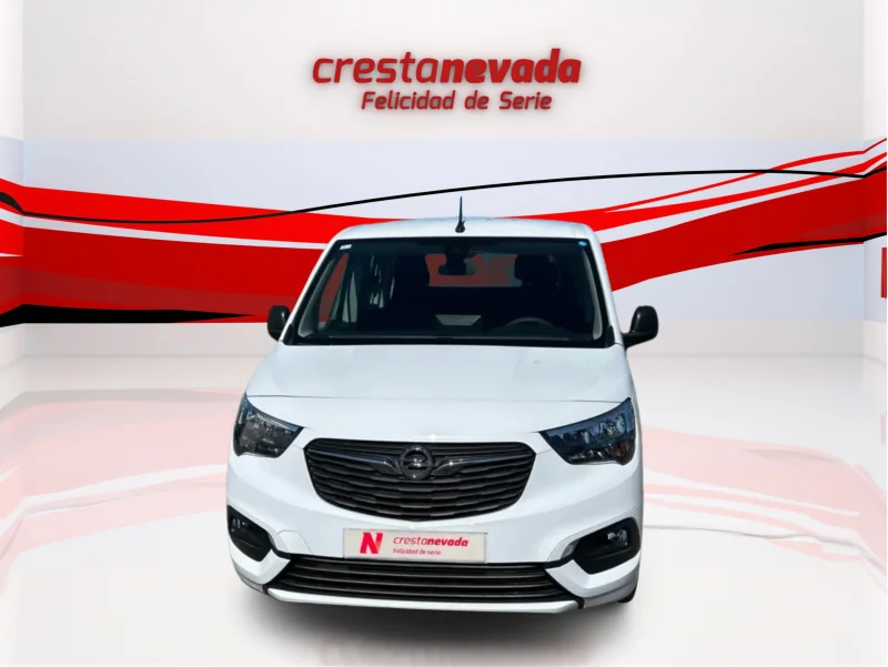 Imagen de Opel Combo Cargo