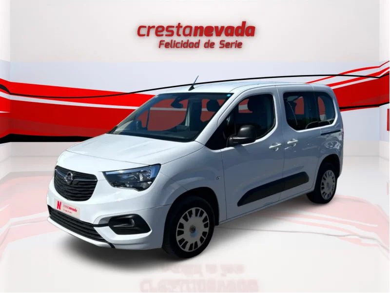 Imagen de Opel Combo Cargo