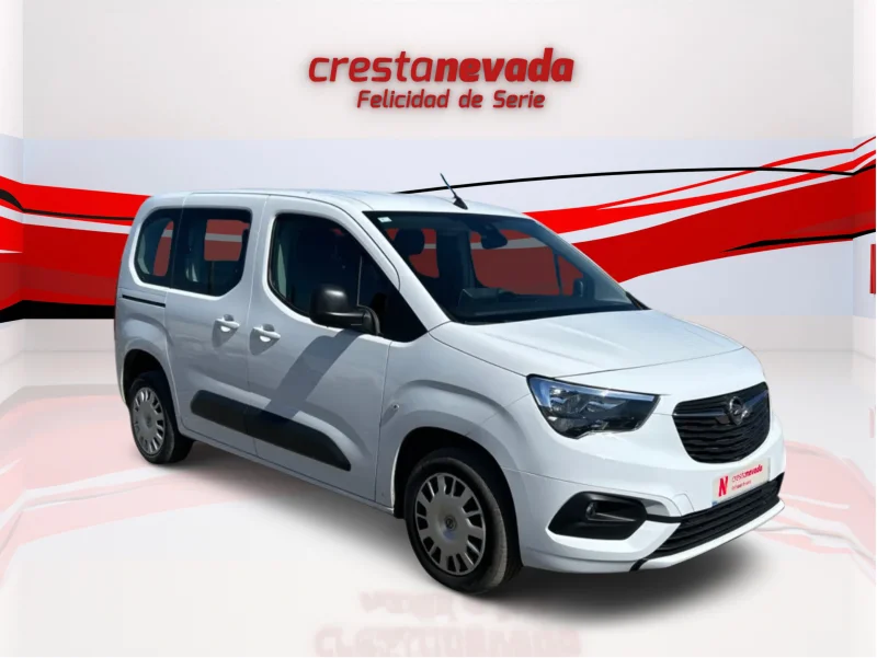 Imagen de Opel Combo Cargo