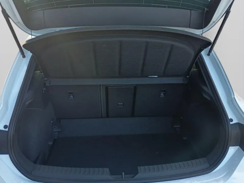 Imagen de cupra León