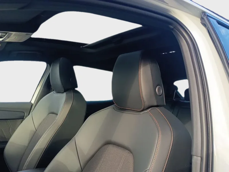 Imagen de cupra León