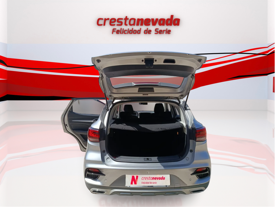 Imagen de Mg ZS