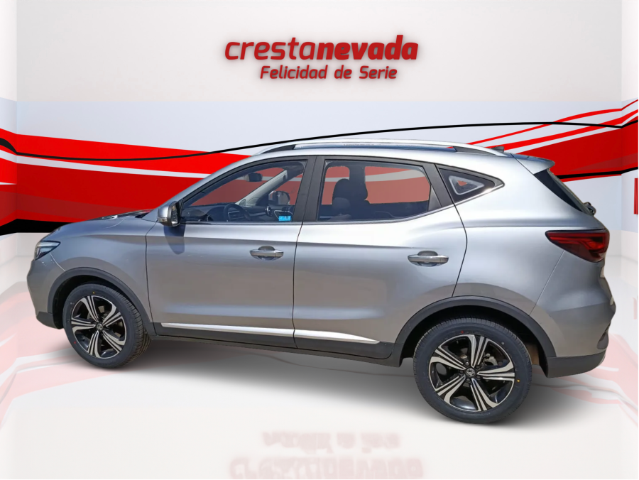 Imagen de Mg ZS