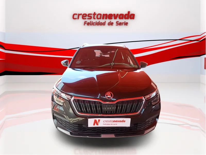 Imagen de Skoda Kamiq