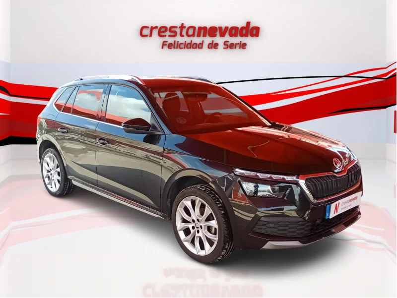 Imagen de Skoda Kamiq