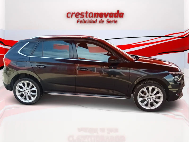 Imagen de Skoda Kamiq