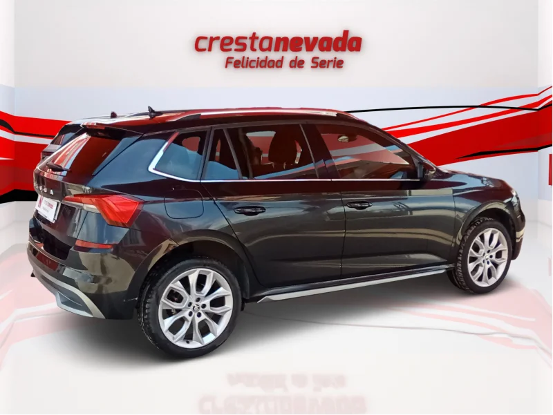 Imagen de Skoda Kamiq