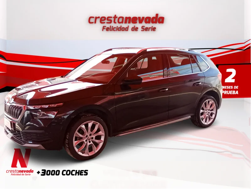 Imagen de Skoda Kamiq