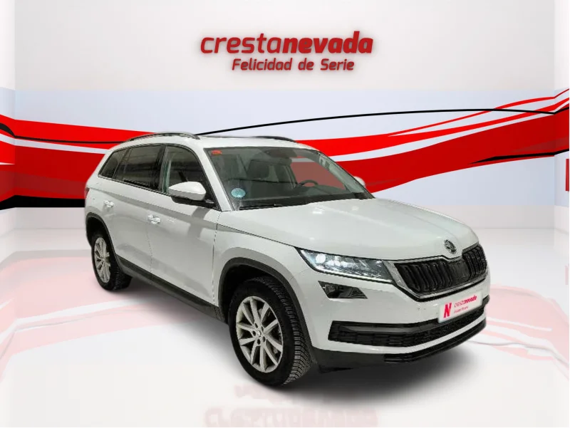 Imagen de Skoda Kodiaq