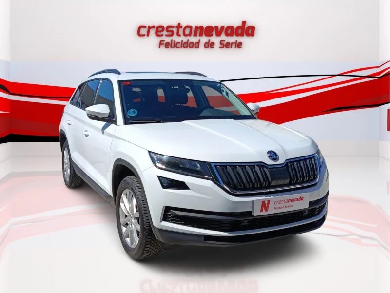 Imagen de Skoda Kodiaq