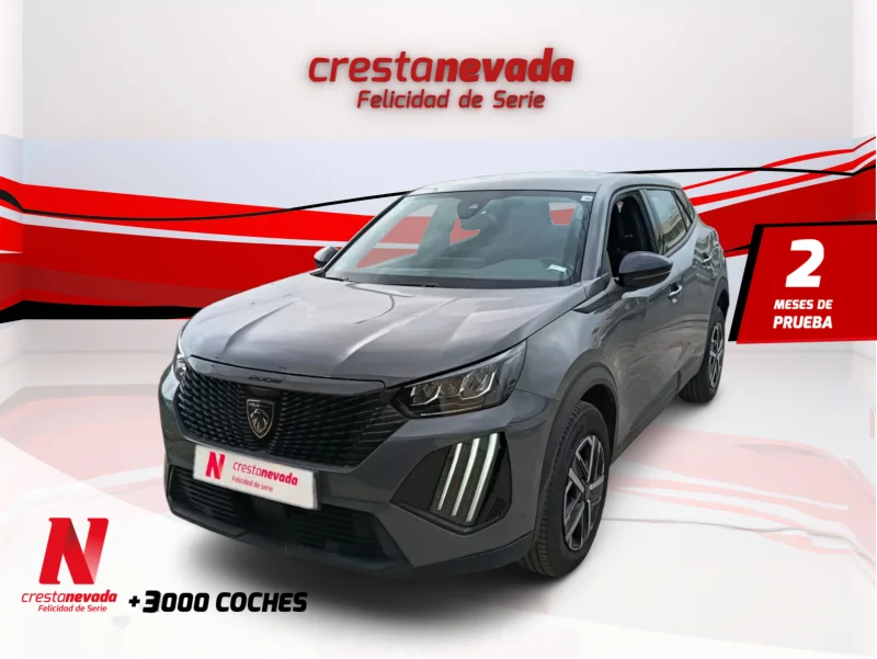 Imagen de Peugeot 2008