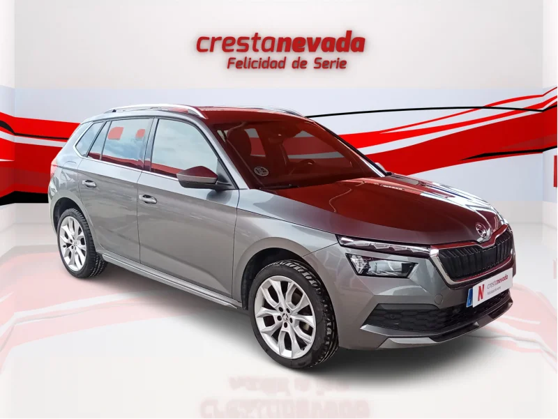 Imagen de Skoda Kamiq
