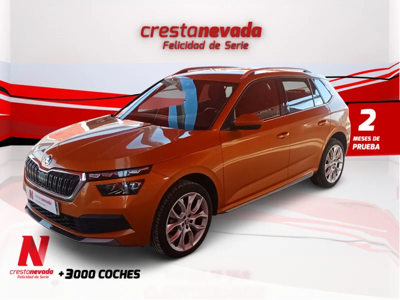 Imagen de Skoda Kamiq