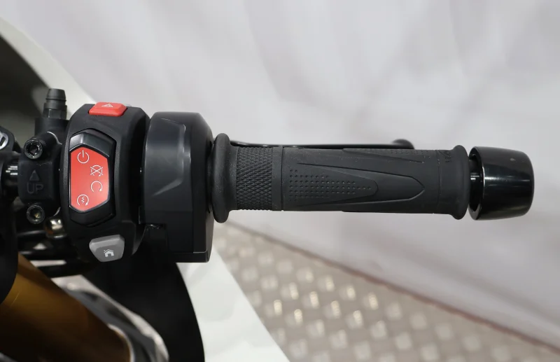 Imagen de Triumph Speed Triple 1200 RR