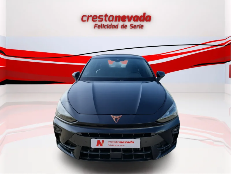 Imagen de cupra León