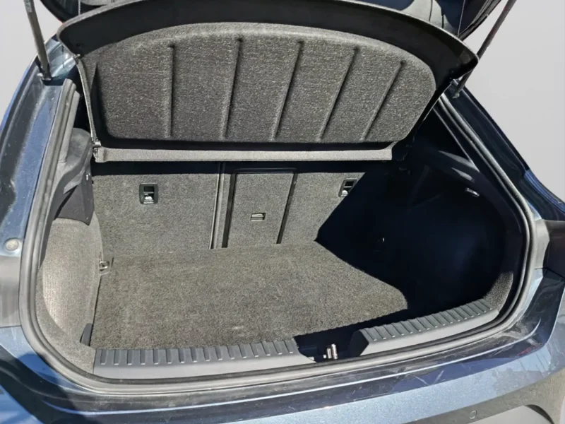 Imagen de cupra León