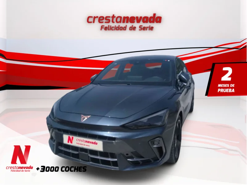 Imagen de cupra León