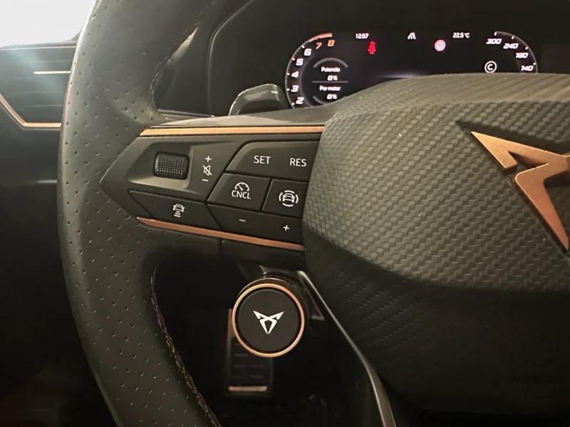 Imagen de cupra León