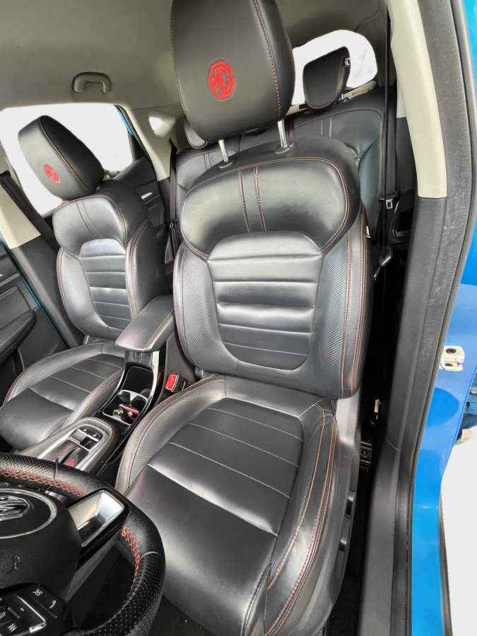 Imagen de Mg ZS
