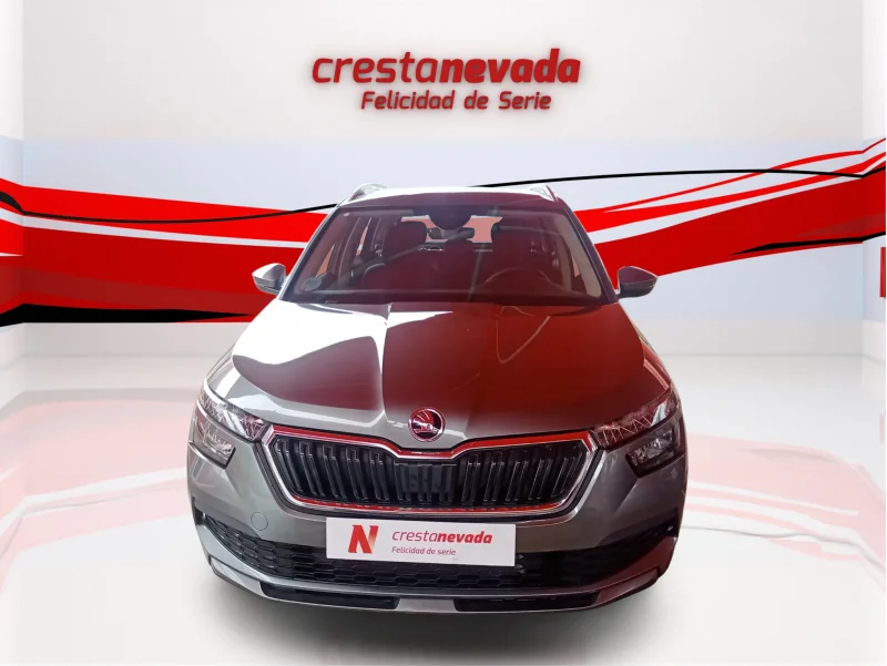 Imagen de Skoda Kamiq