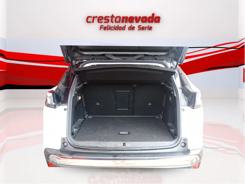 Imagen de Peugeot 3008