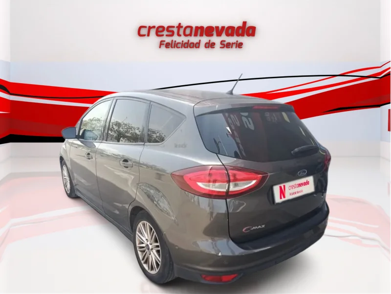 Imagen de Ford Grand C-Max