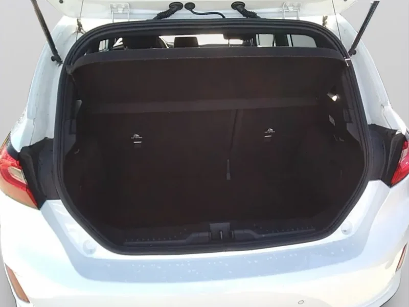 Imagen de Ford Fiesta