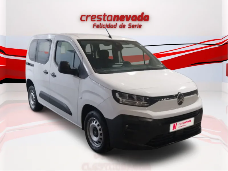 Imagen de CITROEN Berlingo