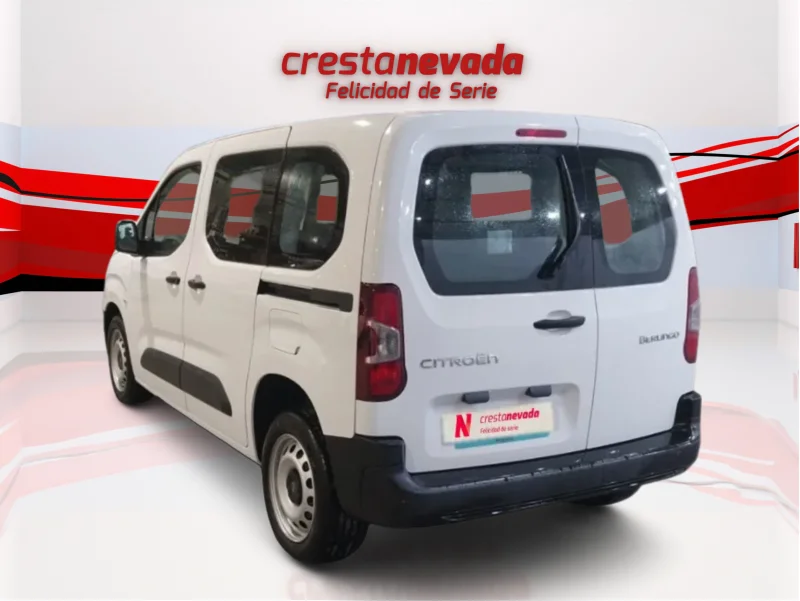 Imagen de CITROEN Berlingo