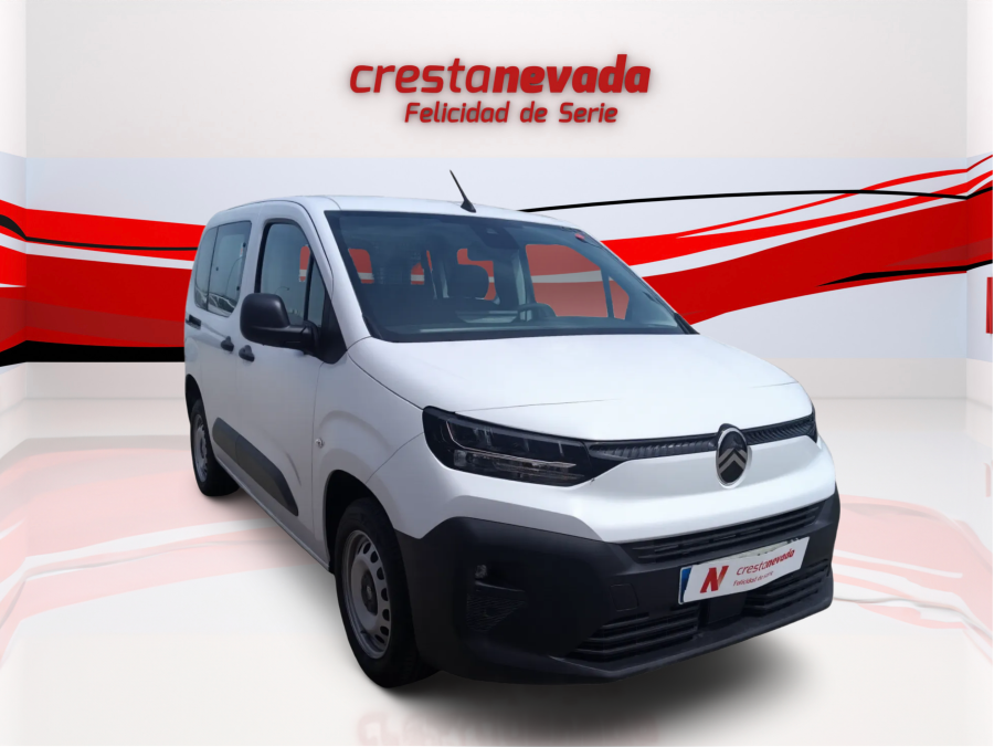 Imagen de CITROEN Berlingo