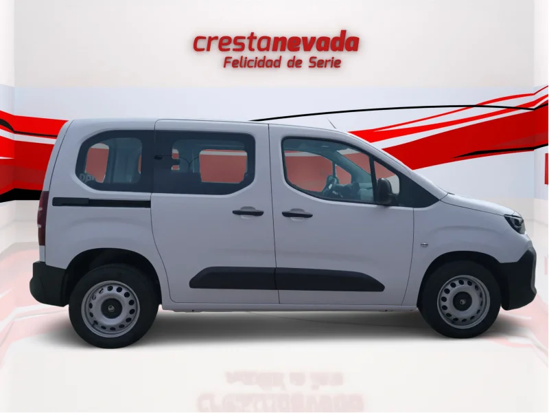 Imagen de CITROEN Berlingo