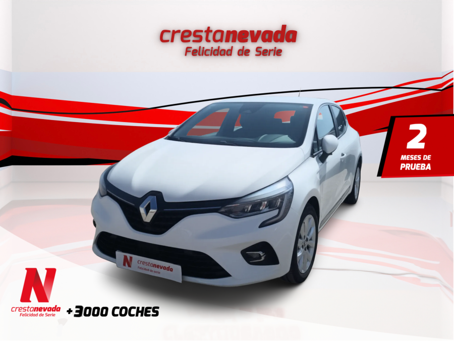 Imagen de Renault Clio