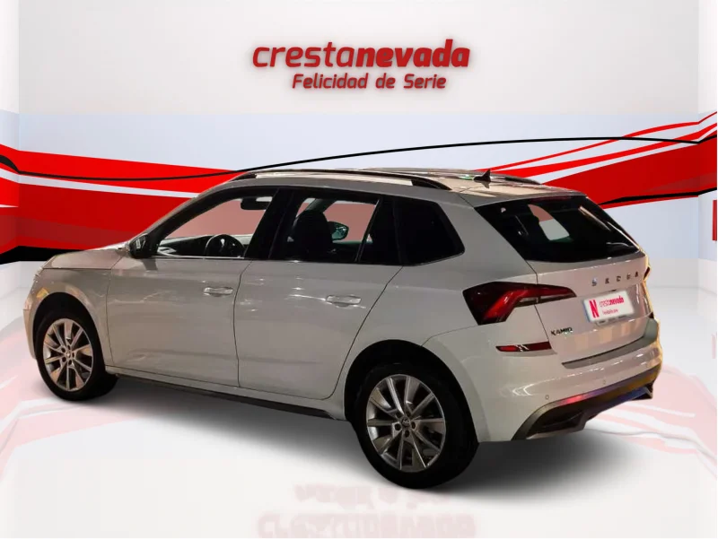 Imagen de Skoda Kamiq