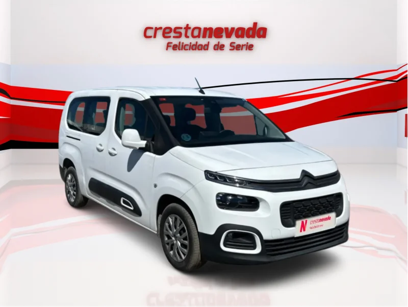 Imagen de CITROEN Berlingo