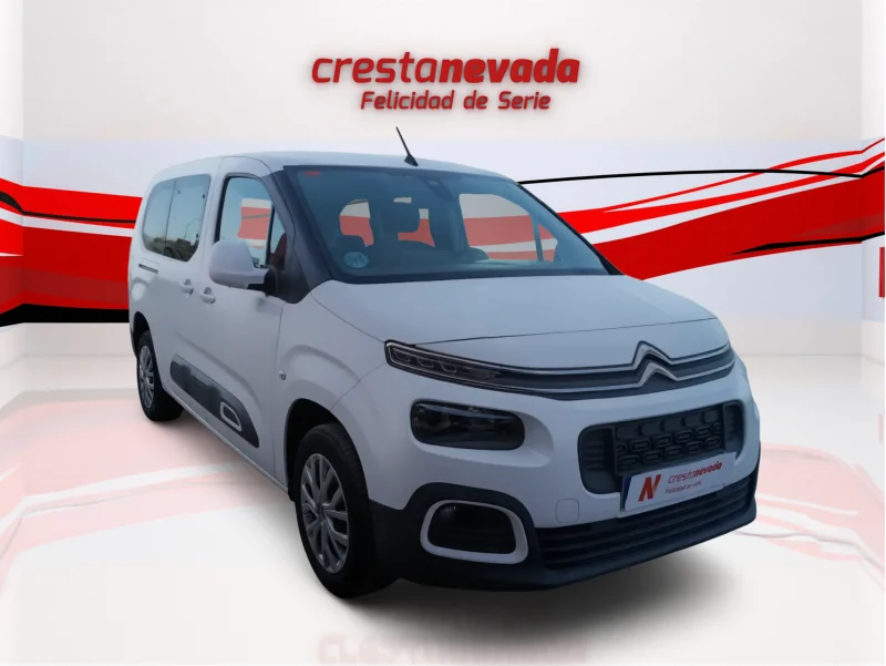 Imagen de CITROEN Berlingo
