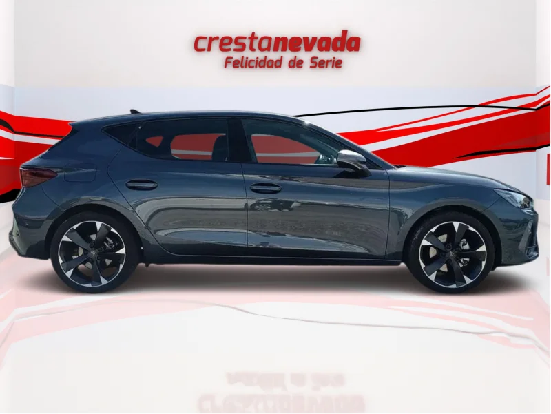Imagen de cupra León