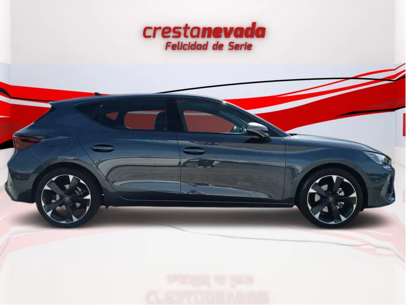 Imagen de cupra León