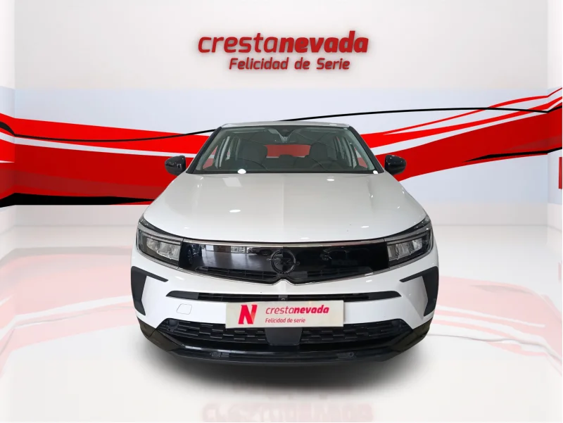 Imagen de Opel Grandland