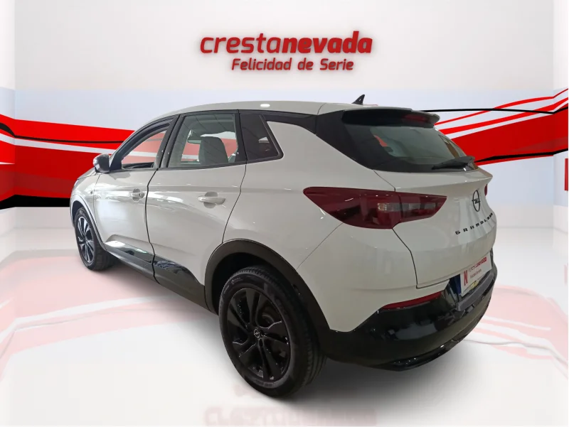 Imagen de Opel Grandland