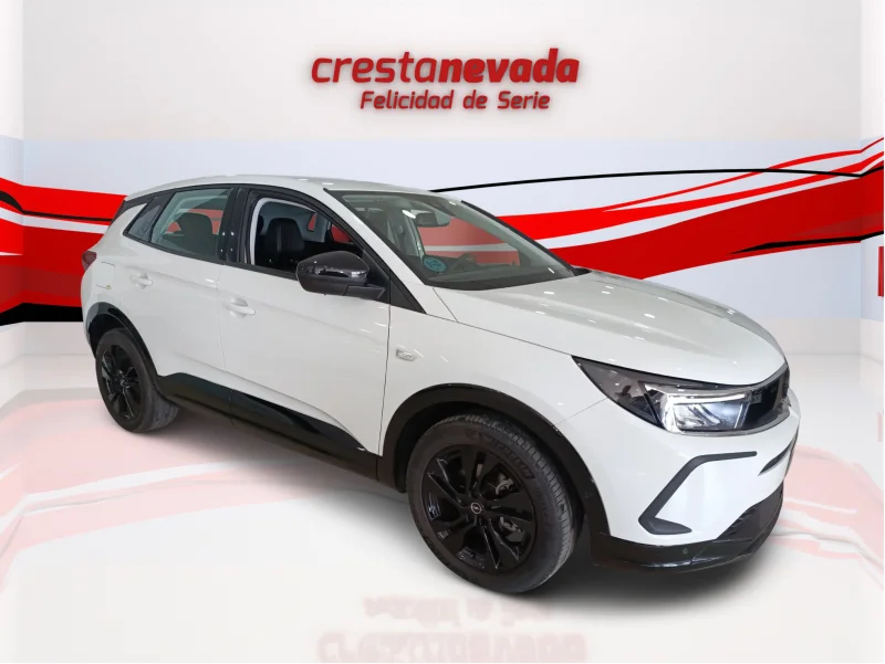 Imagen de Opel Grandland